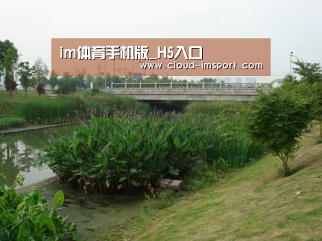 案例展示四(图1)