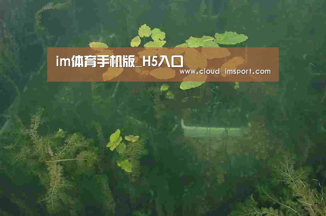 案例展示三(图1)