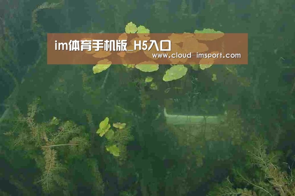 案例展示三