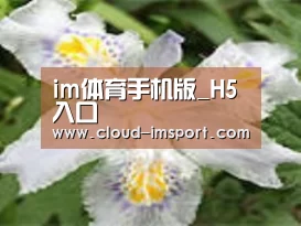 产品名称二