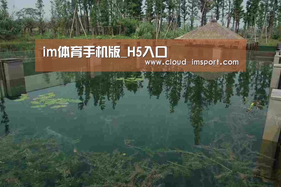 案例展示二