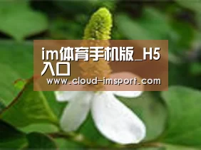 产品名称三