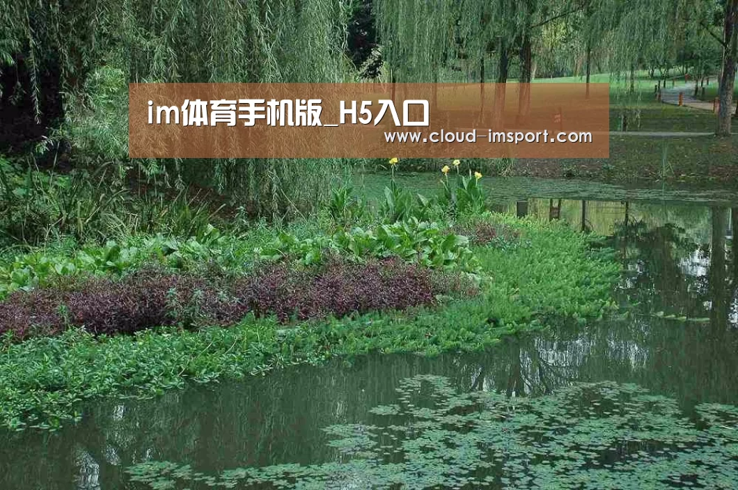 案例展示一