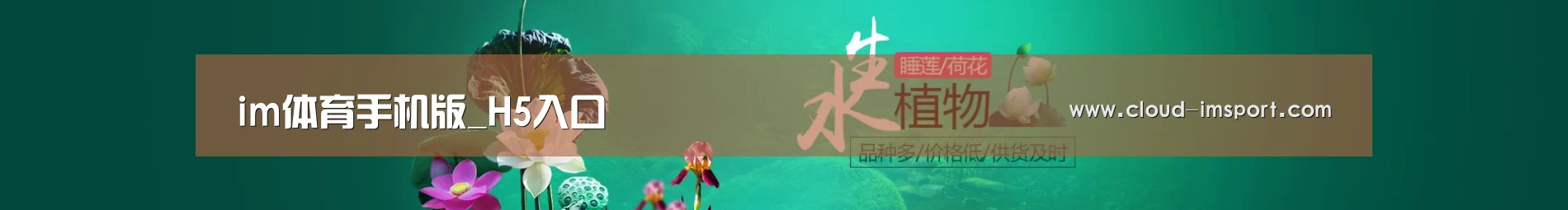 鲜花水草花卉网站模板