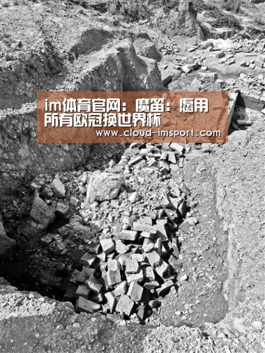 im体育官网