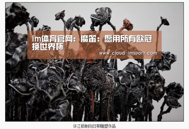 im体育网址
