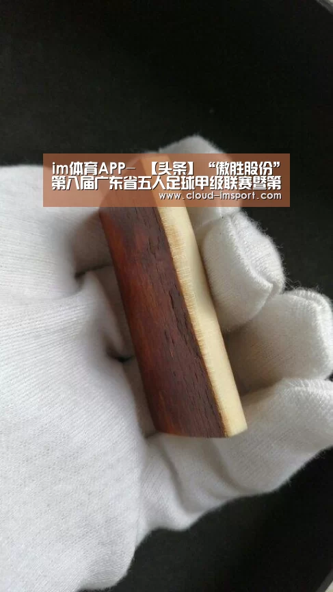 im体育APP-
【头条】“傲胜股份”第八届广东省五人足球甲级联赛暨第七届广东省女子五人足球甲级联赛拉开战幕暨“最美人气”球队投票运动开启!(图13) im体育APP