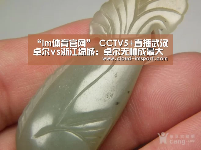 im体育官网