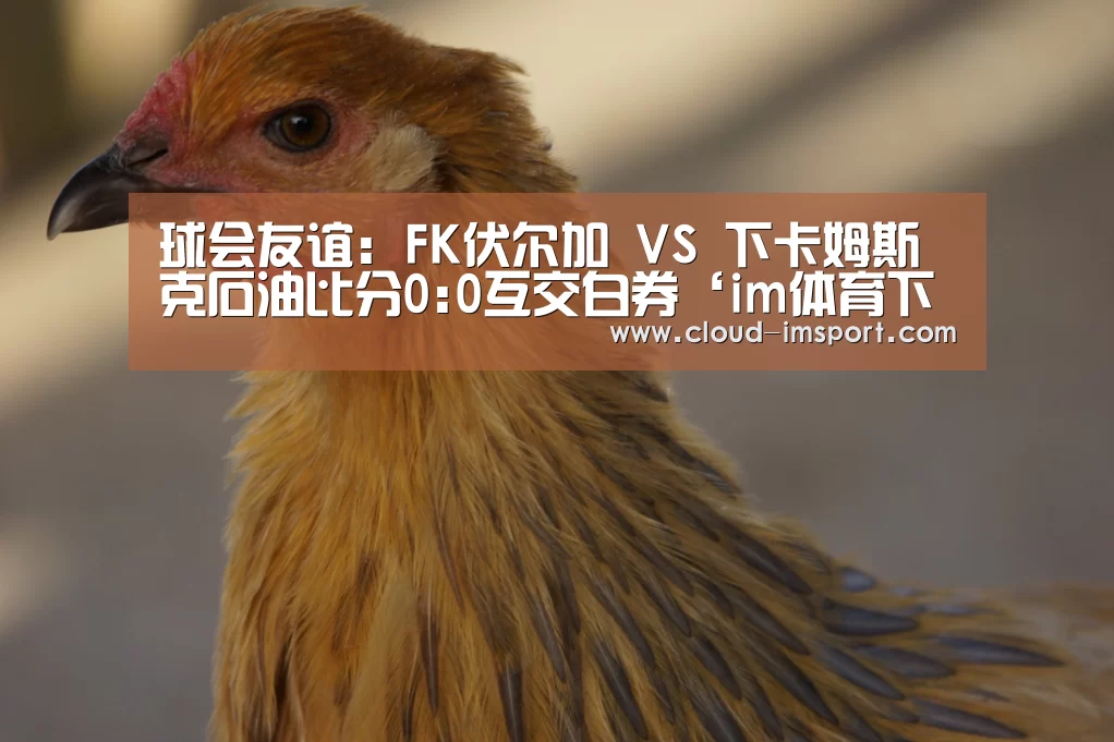 球会友谊: FK伏尔加 VS 下卡姆斯克石油比分0:0互交白券‘im体育下载’(图2) im体育APP