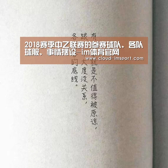 im体育网址