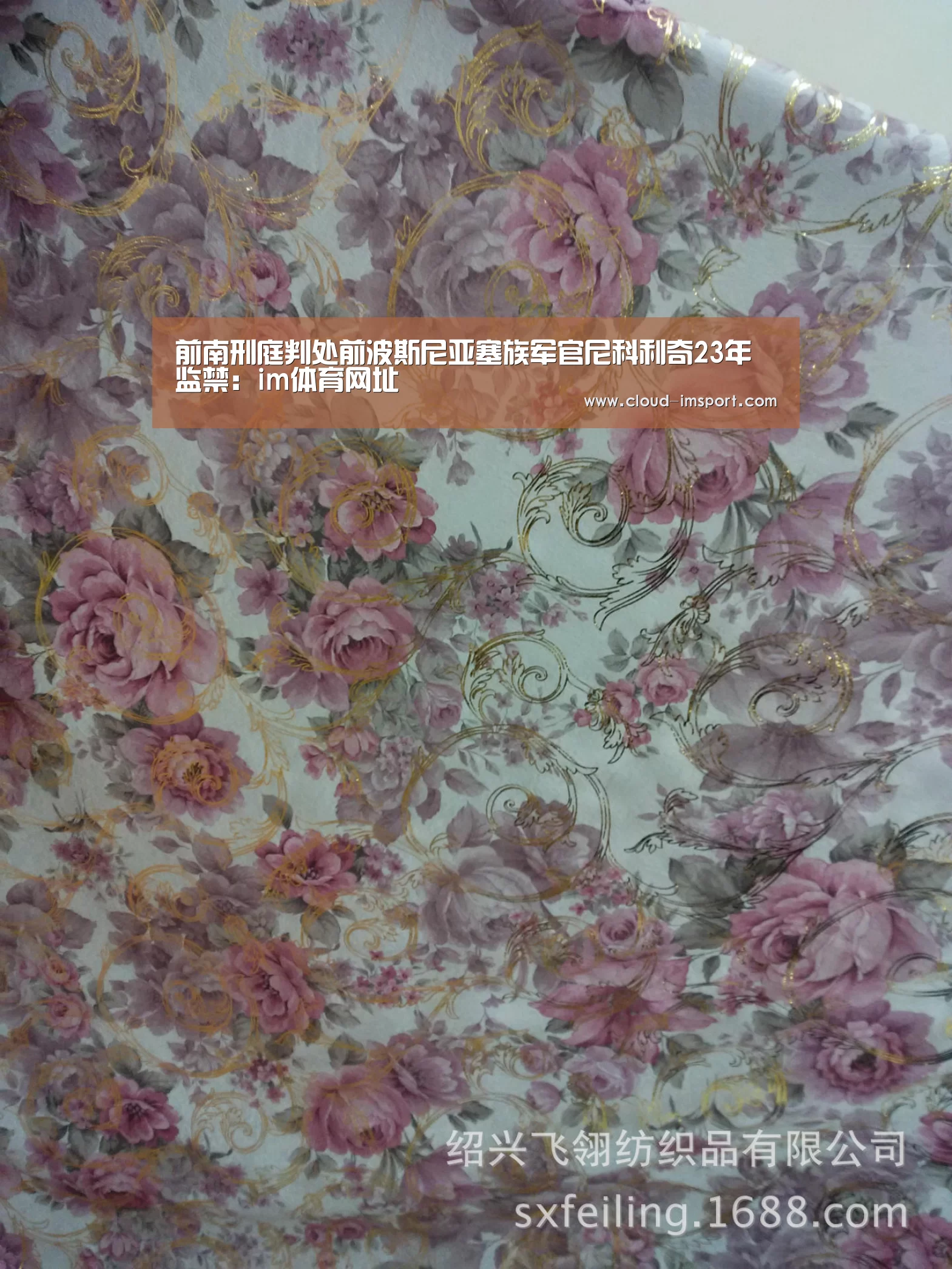 前南刑庭判处前波斯尼亚塞族军官尼科利奇23年监禁:im体育网址(图1) im体育APP
