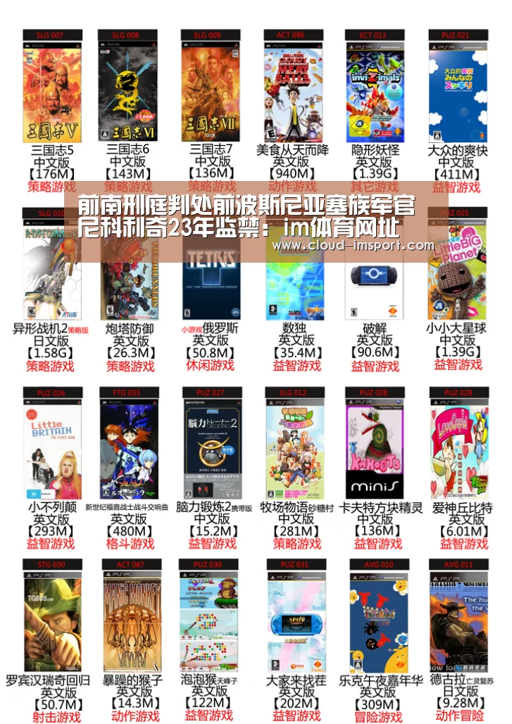 前南刑庭判处前波斯尼亚塞族军官尼科利奇23年监禁:im体育网址(图2) im体育网址