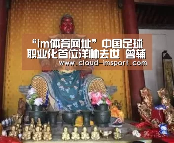 im体育下载