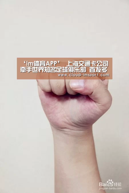 im体育网址