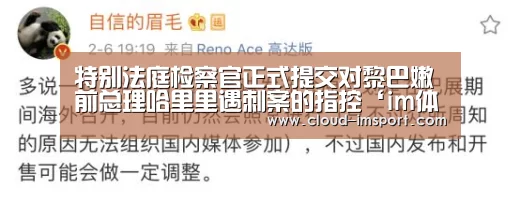 特别法庭检察官正式提交对黎巴嫩前总理哈里里遇刺案的指控‘im体育APP’(图1) im体育网址