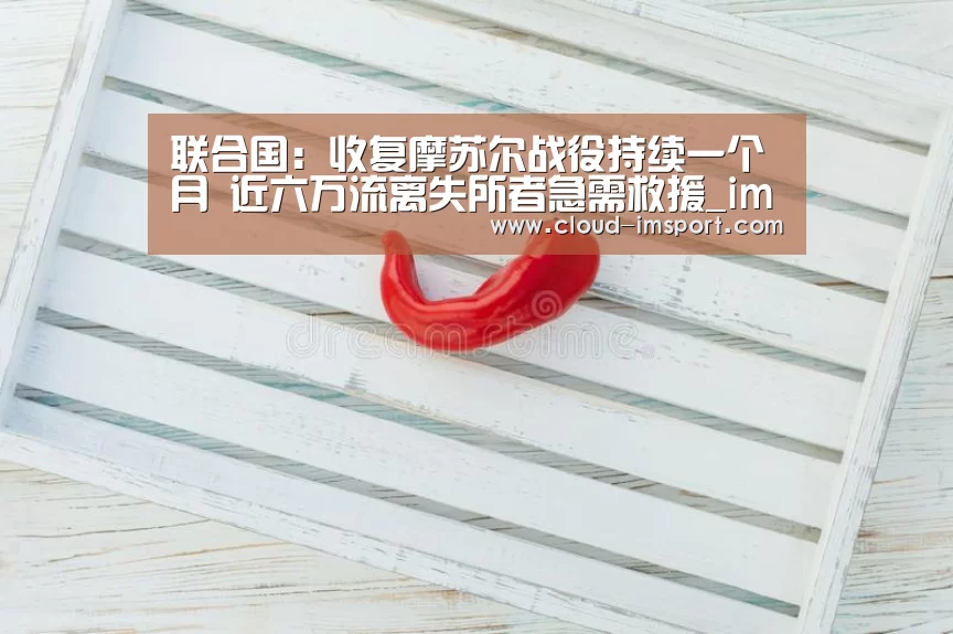 im体育APP