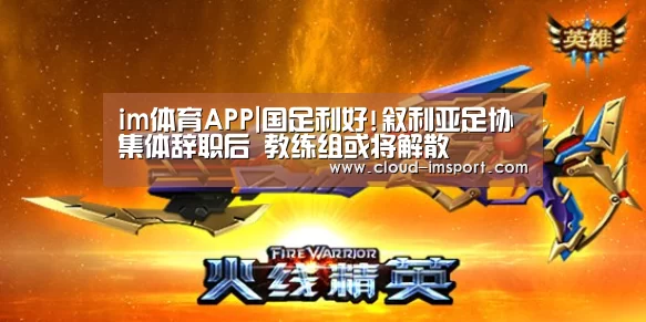 im体育APP