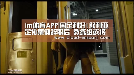 im体育网址