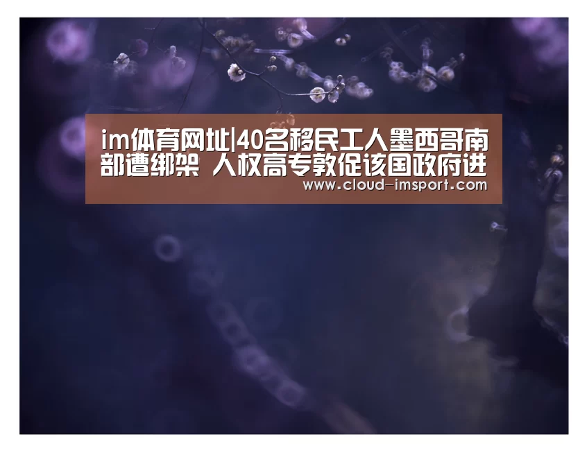 im体育网址|40名移民工人墨西哥南部遭绑架 人权高专敦促该国政府进行彻查(图1) im体育网址