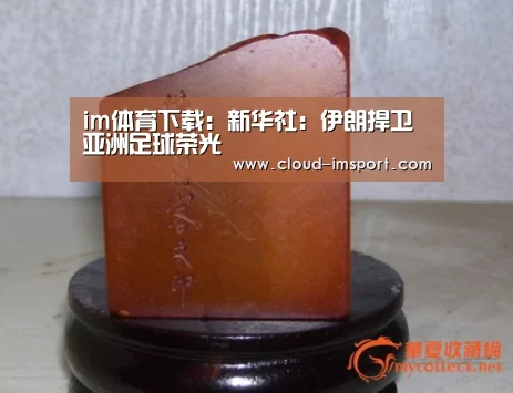 im体育网址