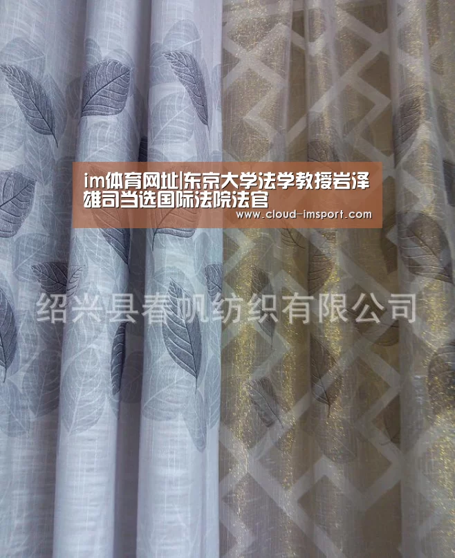 im体育网址