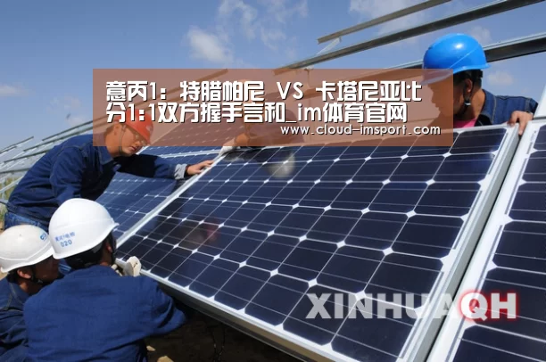 意丙1: 特腊帕尼 VS 卡塔尼亚比分1:1双方握手言和_im体育官网(图2) im体育下载