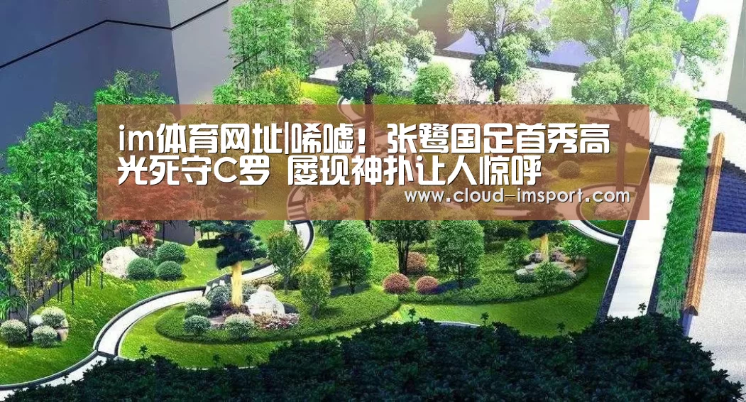 im体育网址|唏嘘!张鹭国足首秀高光死守C罗 屡现神扑让人惊呼(图2) im体育官网