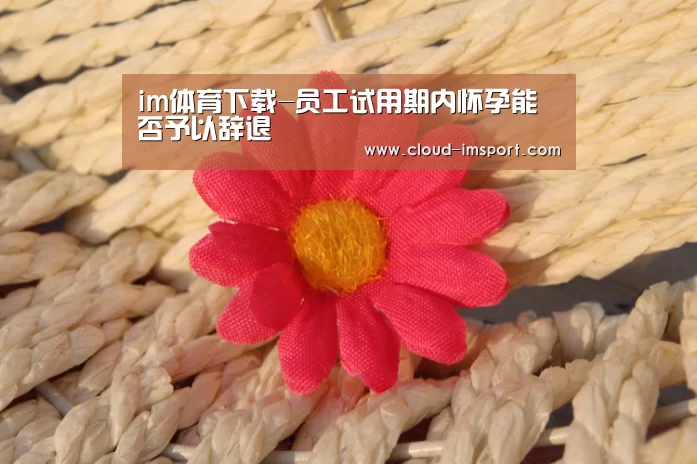 im体育APP