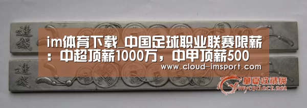 im体育下载_中国足球职业联赛限薪:中超顶薪1000万,中甲顶薪500万(图1) im体育下载
